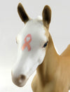 foal