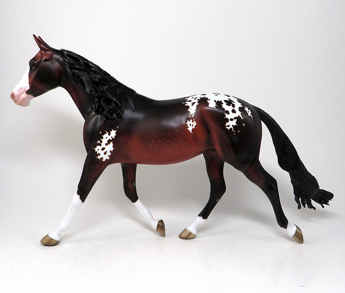 bay appaloosa palouse 