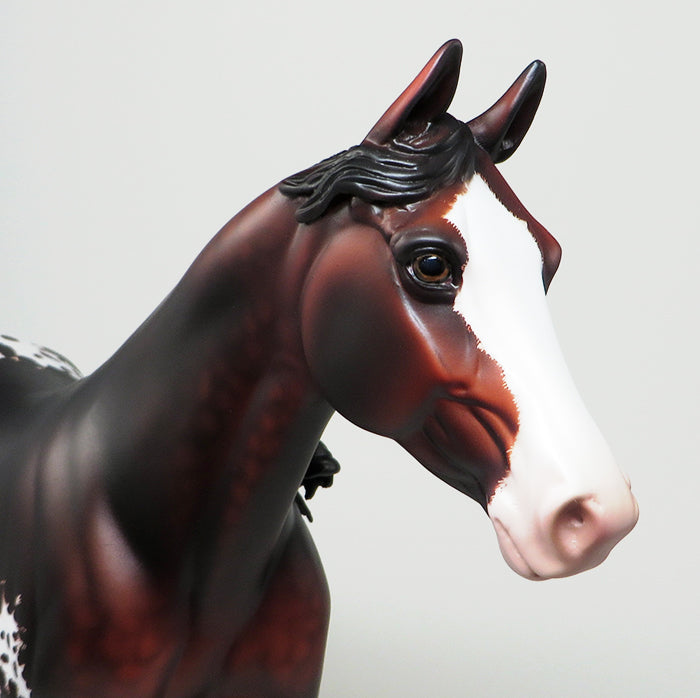 BRITE SOX-OOAK BLOOD BAY ETCHED APPALOOSA PALOUSE MODEL HORSE BY SHERYL LEISURE 5/13
