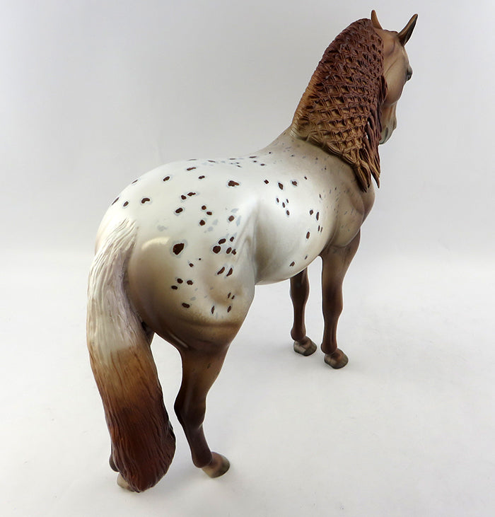 Appaloosa