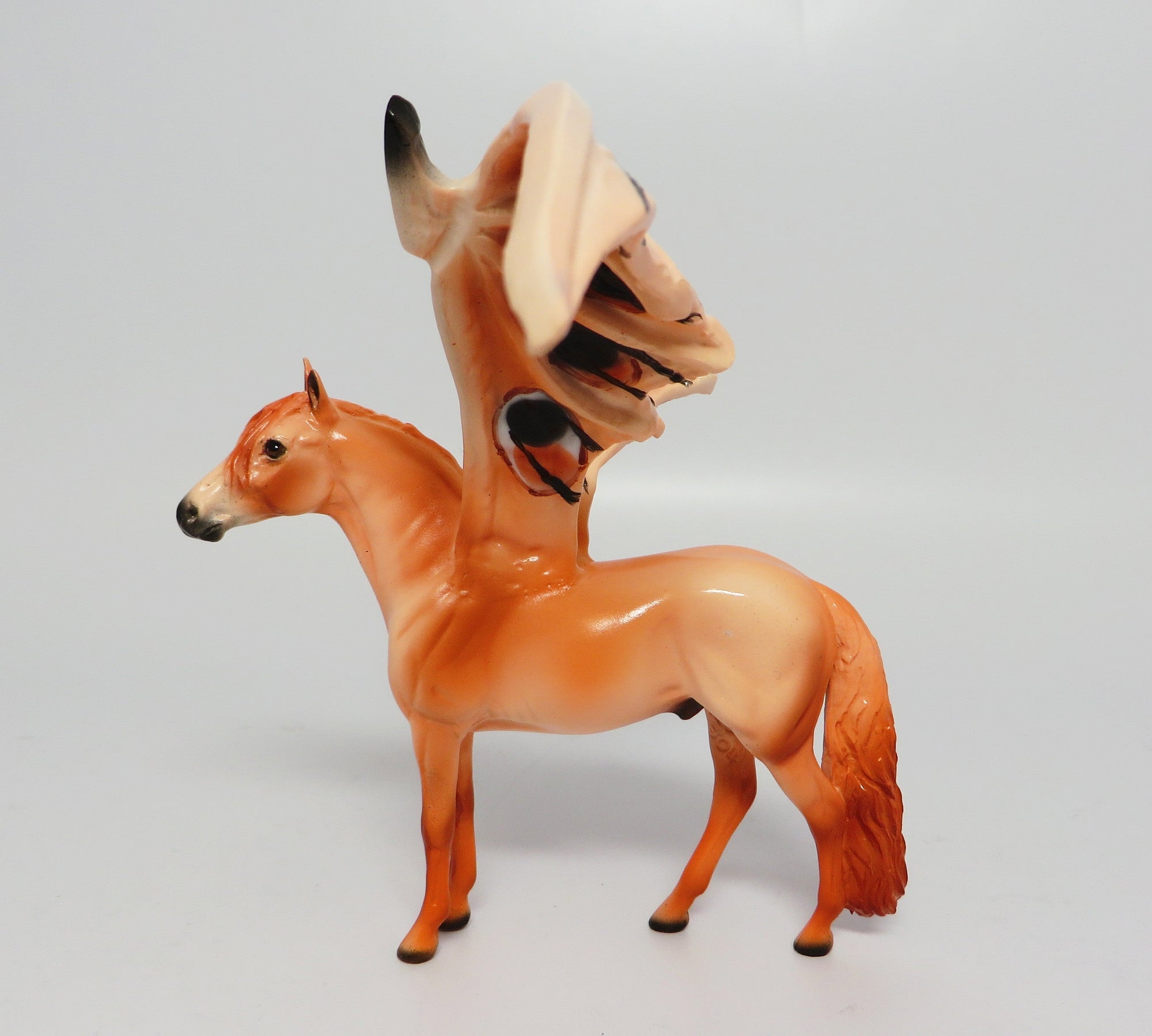 POLYTHEMUS~OOAK MOTH/BAT CHIP ANDALUSIAN CHIP 10/3/17