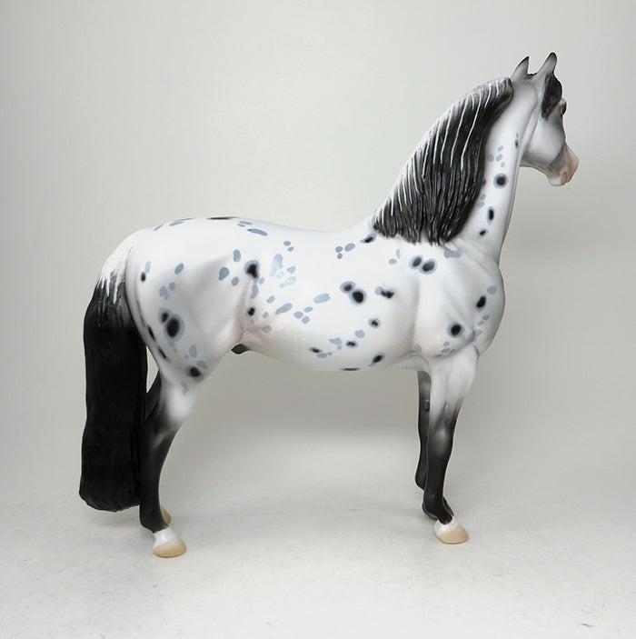 CAPPY-OOAK LOUD APPALOOSA MORGAN MODEL HORSE 5/13
