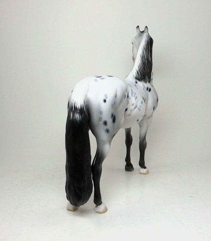 CAPPY-OOAK LOUD APPALOOSA MORGAN MODEL HORSE 5/13