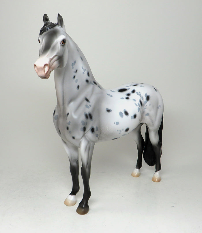 CAPPY-OOAK LOUD APPALOOSA MORGAN MODEL HORSE 5/13