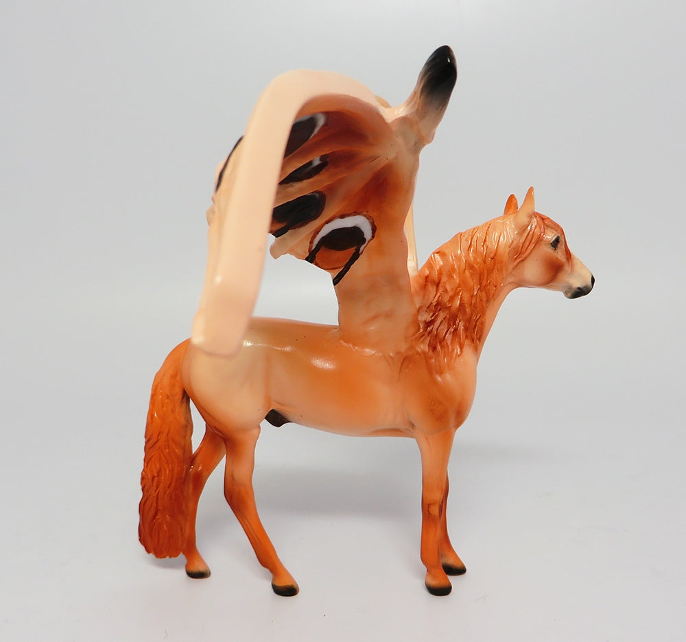 POLYTHEMUS~OOAK MOTH/BAT CHIP ANDALUSIAN CHIP 10/3/17