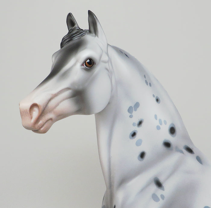 CAPPY-OOAK LOUD APPALOOSA MORGAN MODEL HORSE 5/13