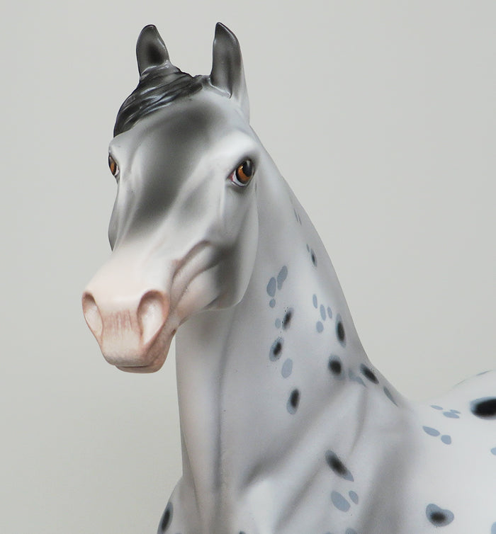 CAPPY-OOAK LOUD APPALOOSA MORGAN MODEL HORSE 5/13