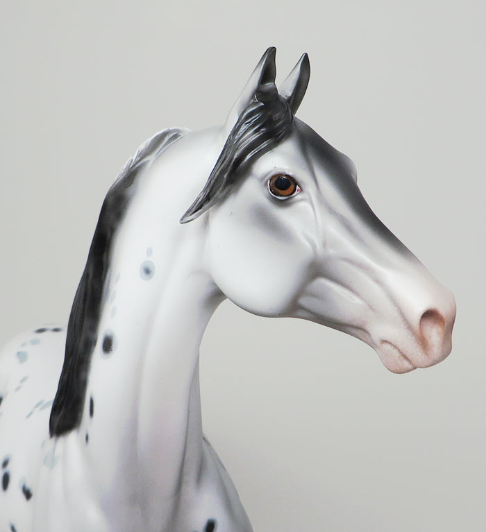 CAPPY-OOAK LOUD APPALOOSA MORGAN MODEL HORSE 5/13