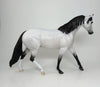 dappe grey western pony hunter