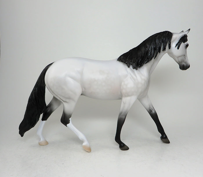 dappe grey western pony hunter