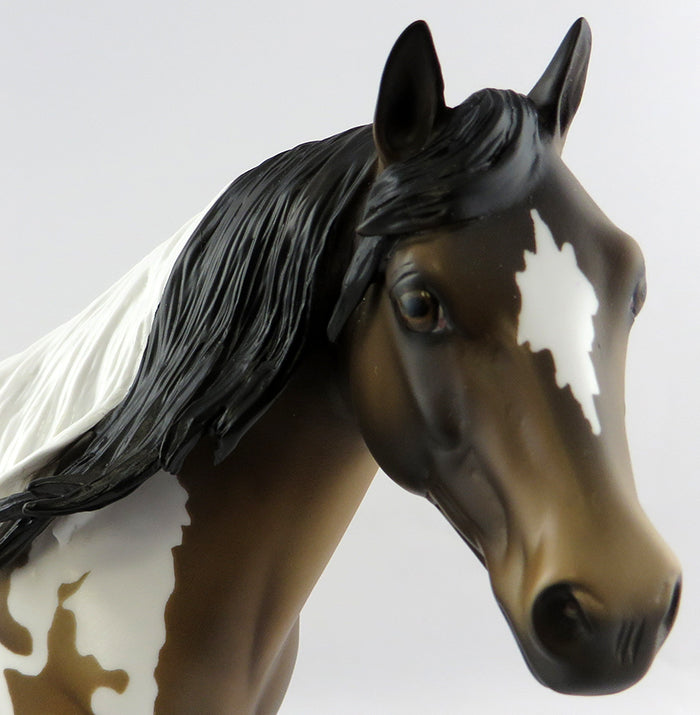 RAFE&#39;-OOAK BUCKSKIN APPALOOSA ISH MODEL HORSE 11/3/16