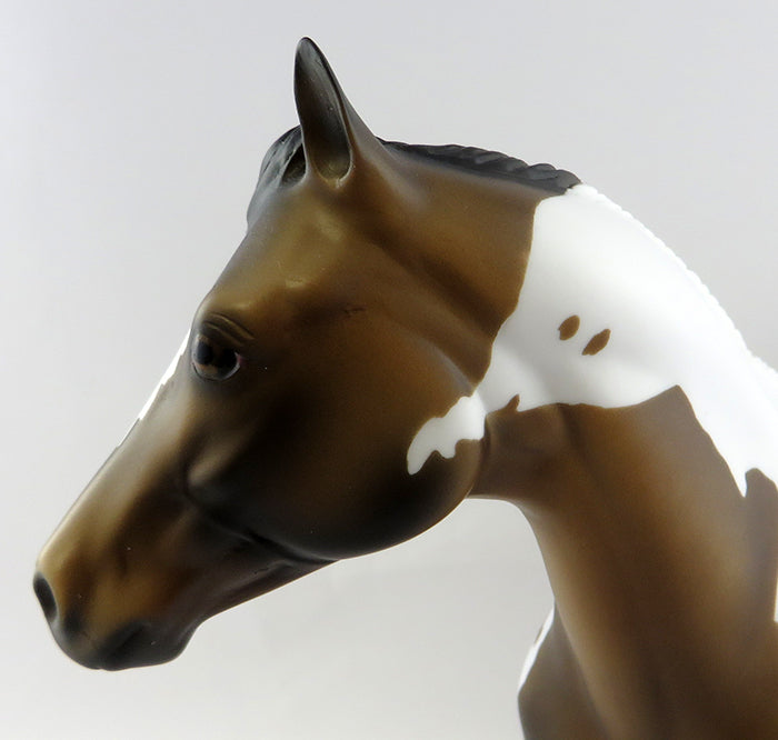 RAFE&#39;-OOAK BUCKSKIN APPALOOSA ISH MODEL HORSE 11/3/16