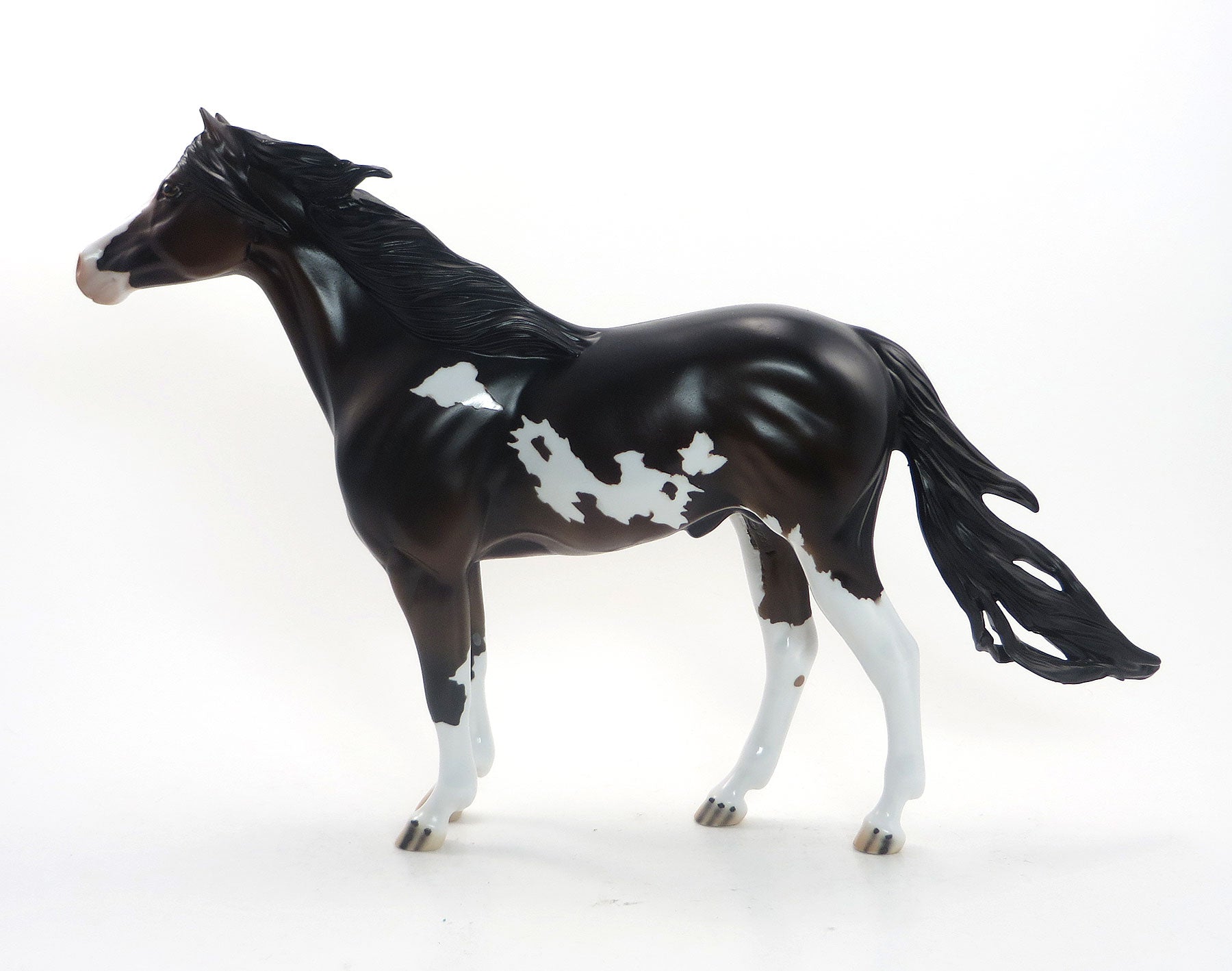 SHAKA BOOGA - OOAK Dark Bay Pinto Mustang 8/14