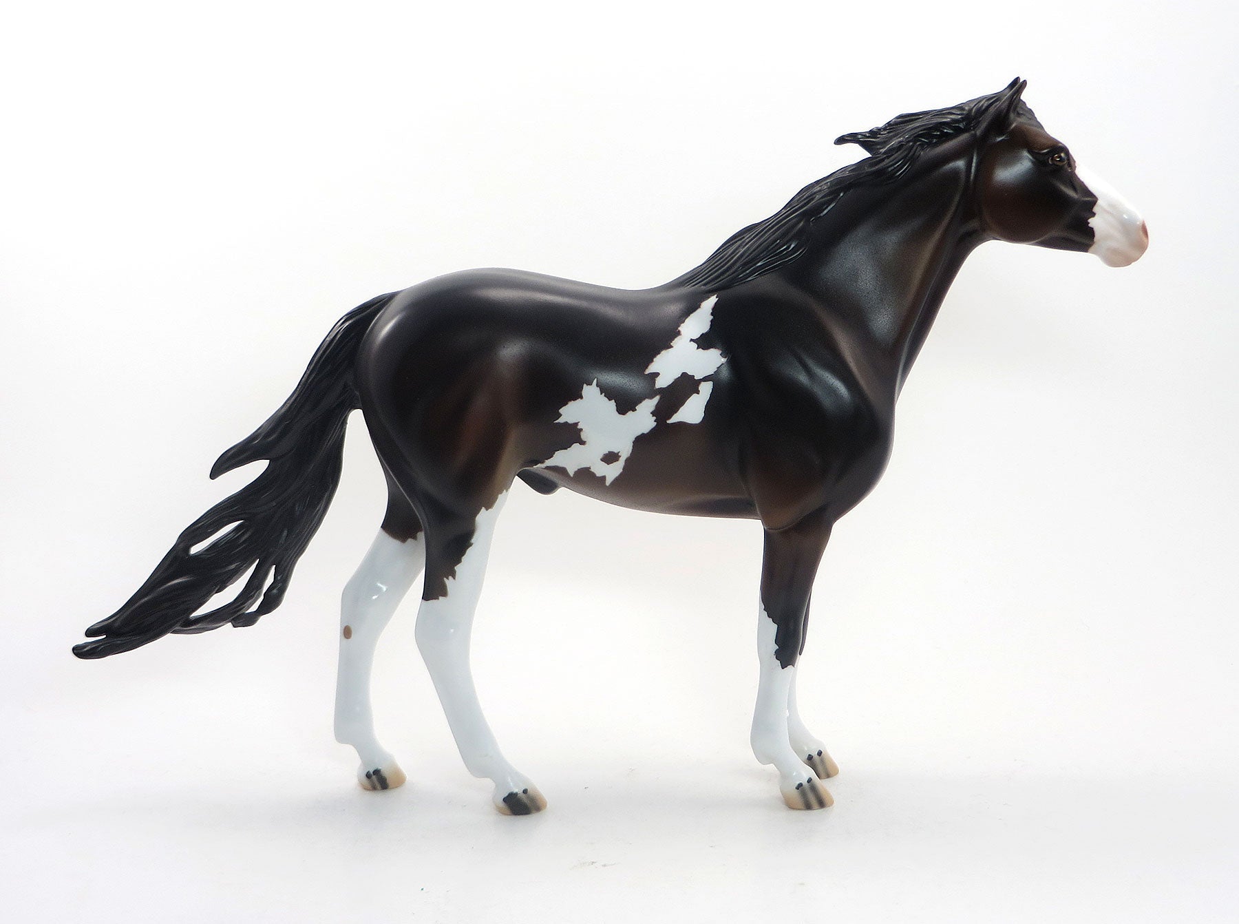 SHAKA BOOGA - OOAK Dark Bay Pinto Mustang 8/14