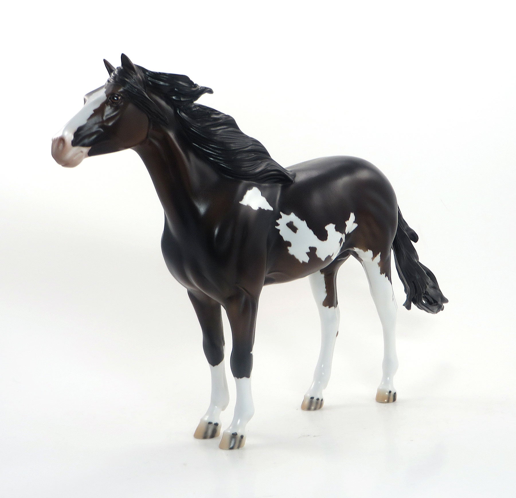 SHAKA BOOGA - OOAK Dark Bay Pinto Mustang 8/14