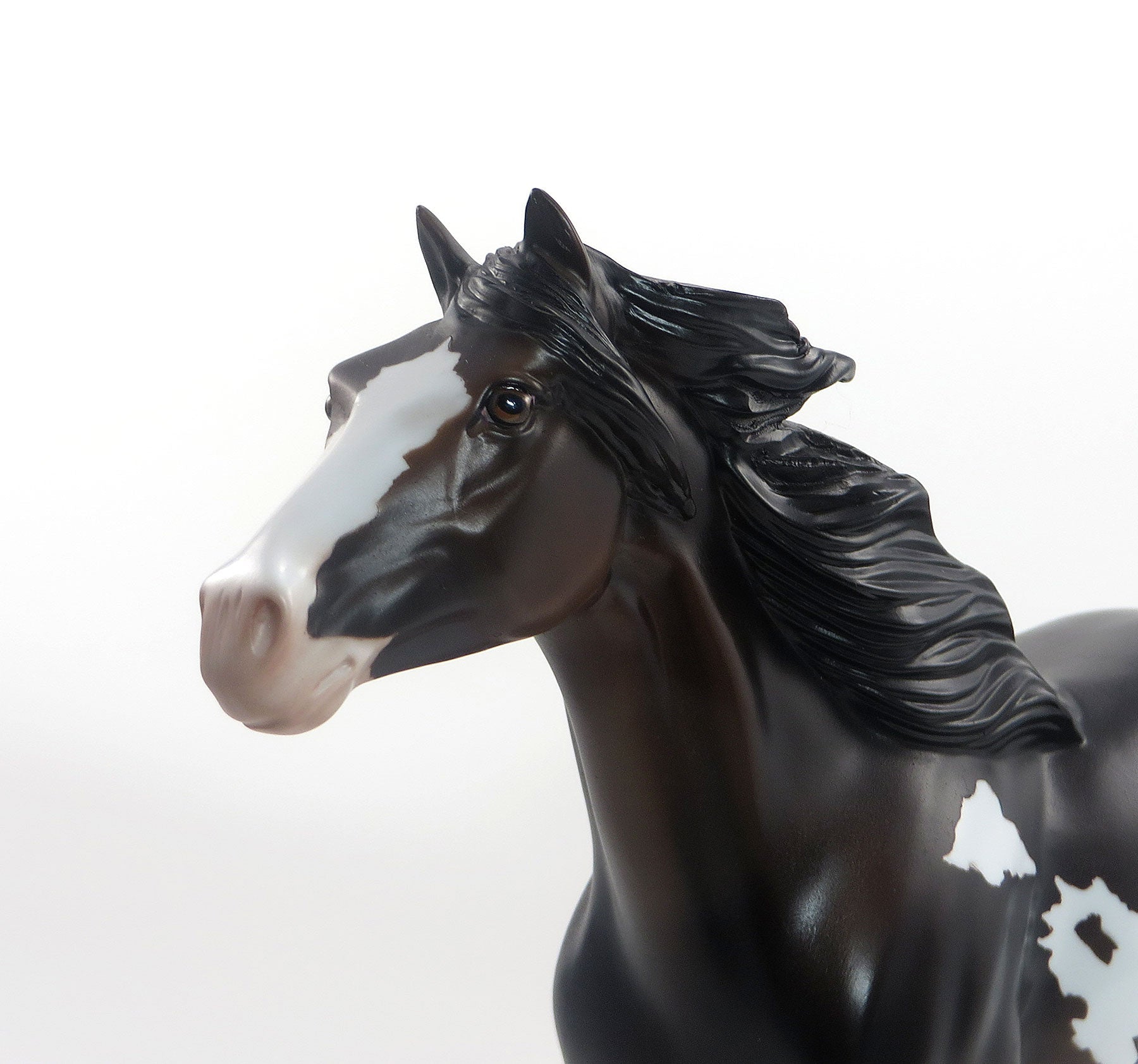 SHAKA BOOGA - OOAK Dark Bay Pinto Mustang 8/14