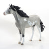 ICE KING- OOAK Dappled Grey W/Black Points Pinto Mustang 8/14
