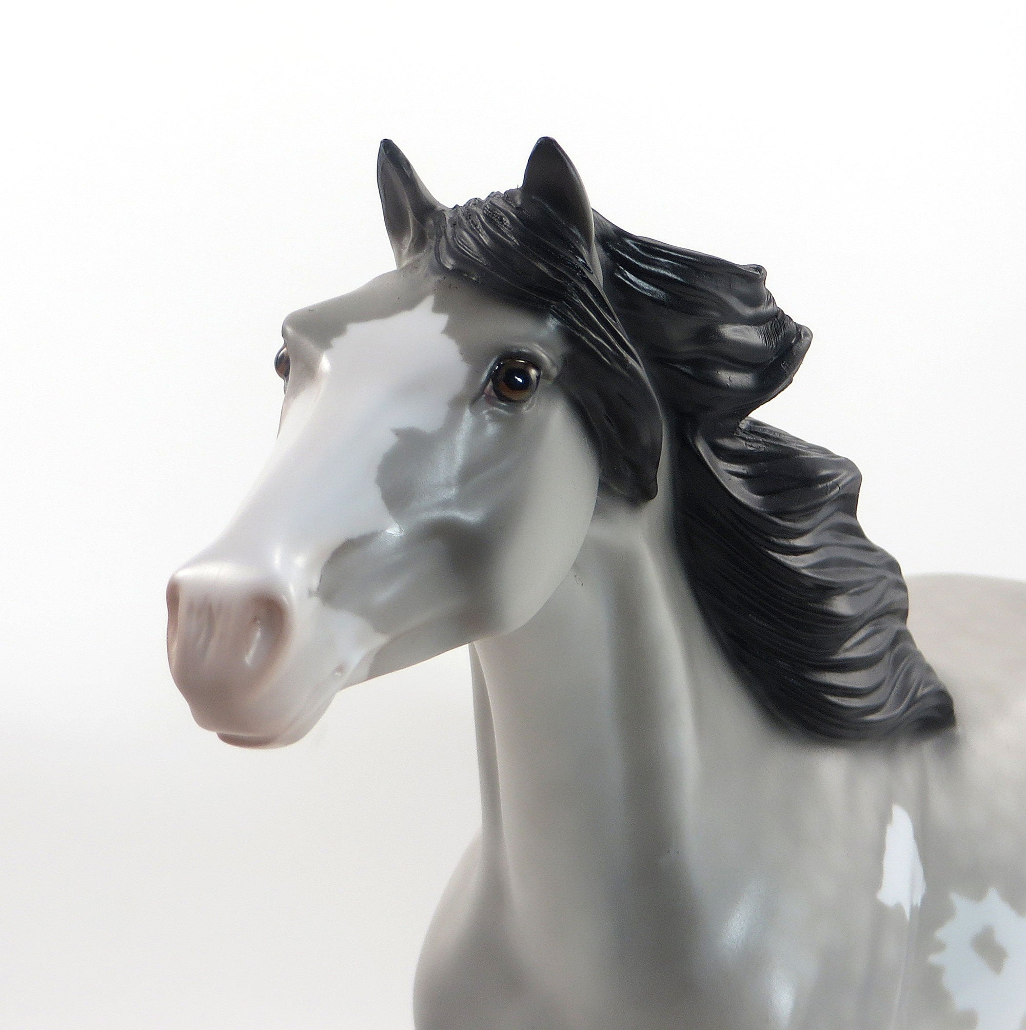 ICE KING- OOAK Dappled Grey W/Black Points Pinto Mustang 8/14