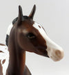 foal