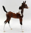 filly