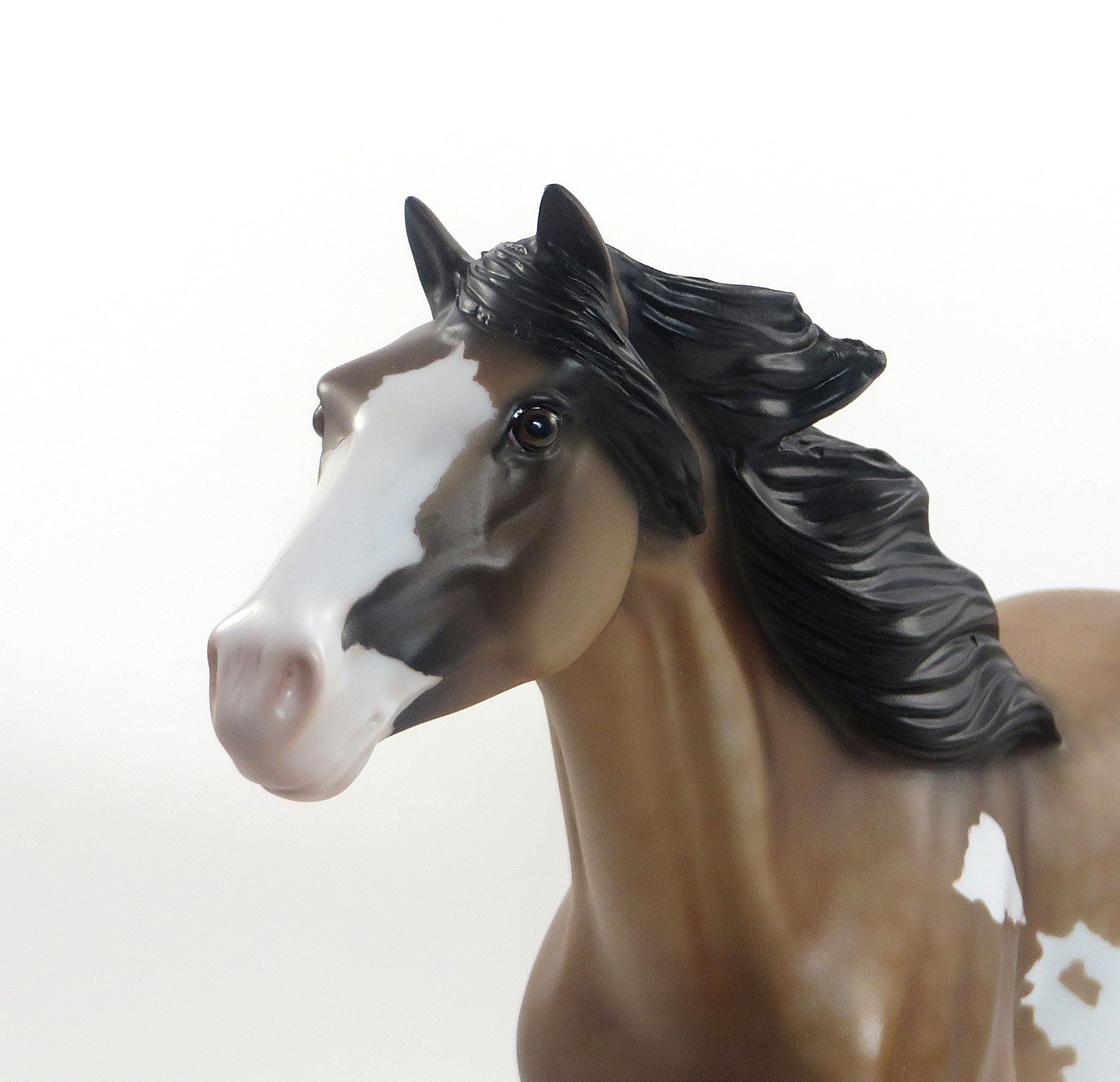 BEST DRESSED VILLIAN- OOAK Dappled Sooty Buckskin Pinto Mustang 8/14
