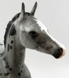filly