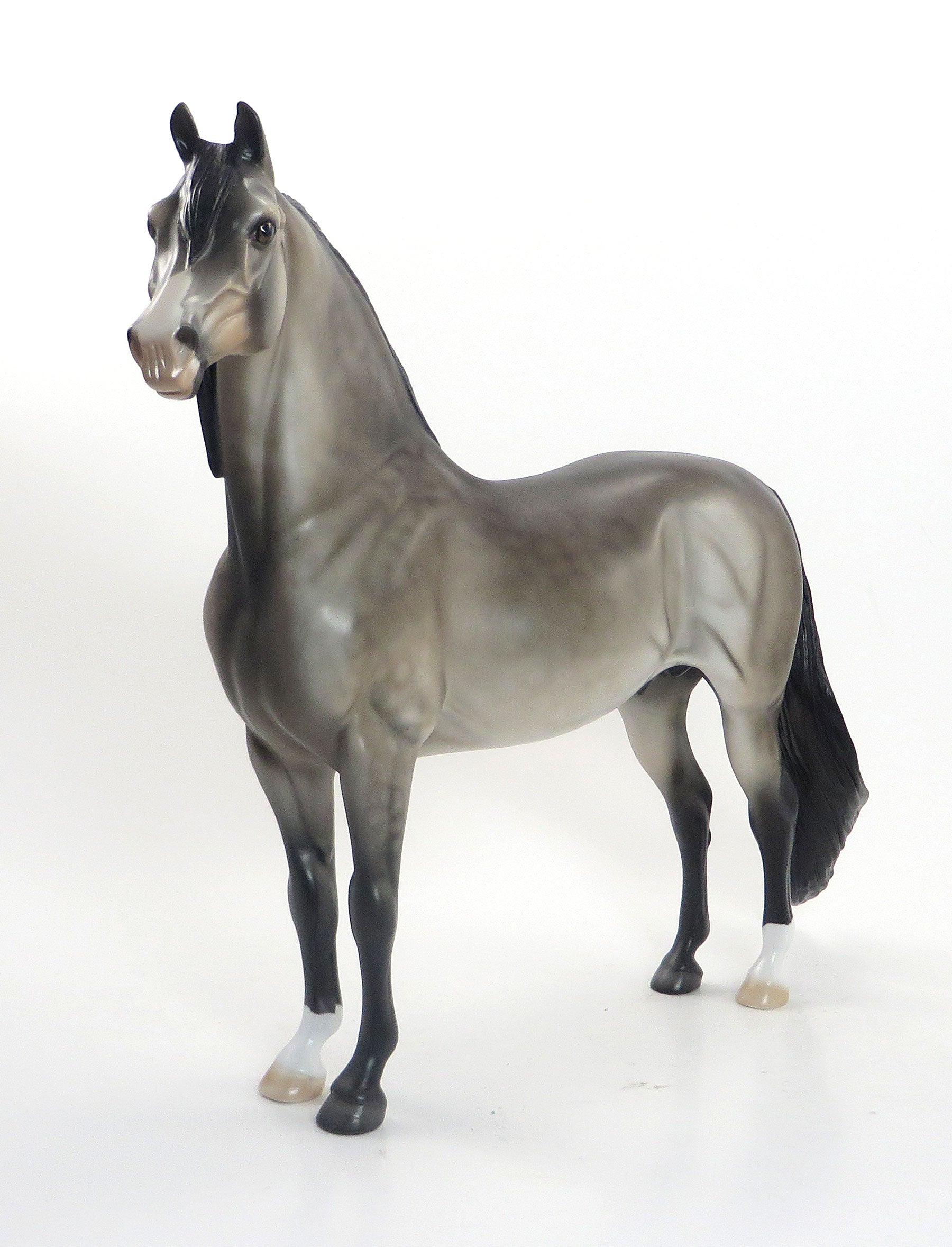 SPINDLY TAM - OOAK Dappled Sooty Buckskin Morgan 8/14