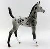 foal
