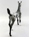 appaloosa