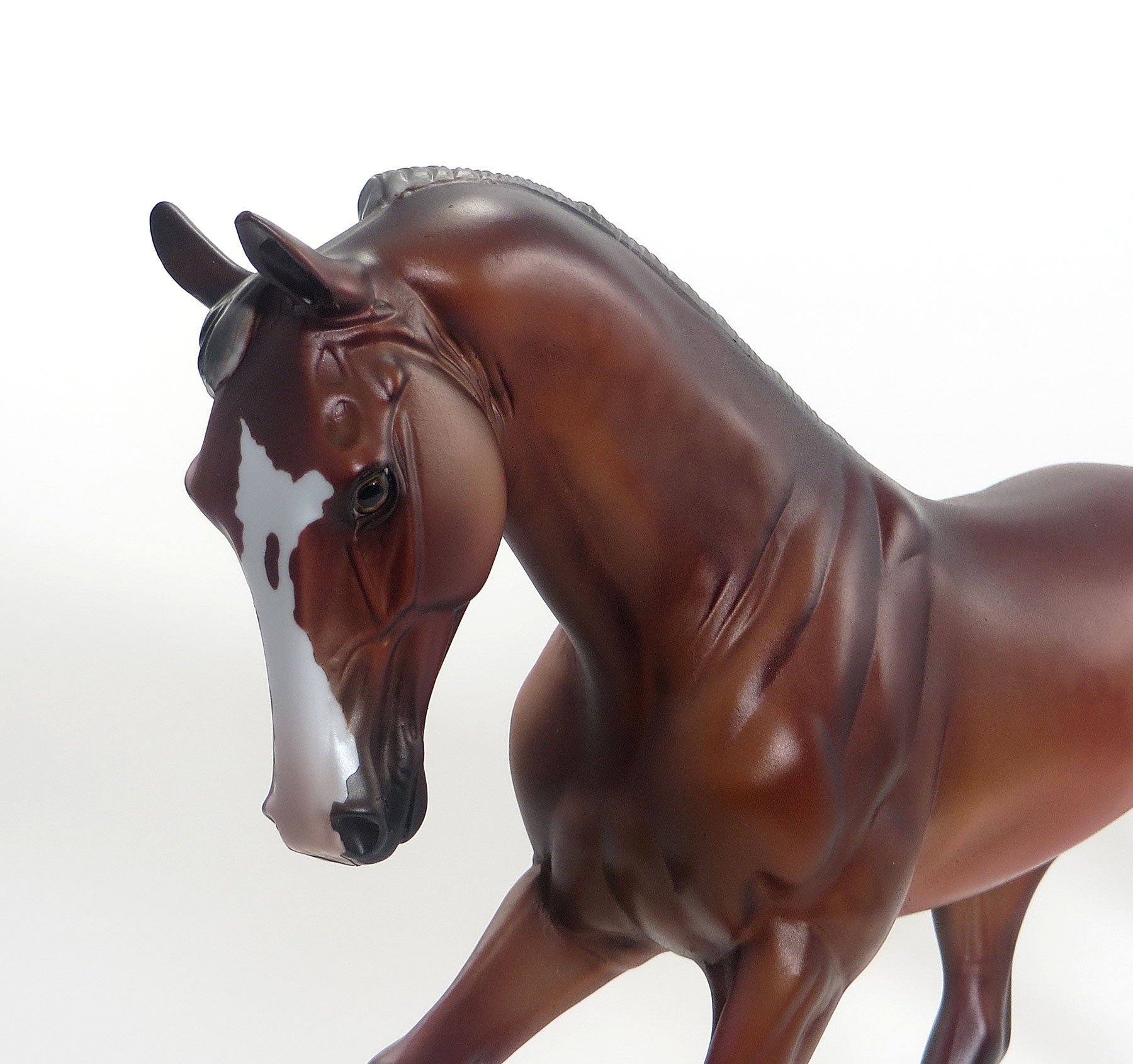 ADMIRAL DEGILL- OOAK Dappled Silver Bay Tennessee Walker 8/14