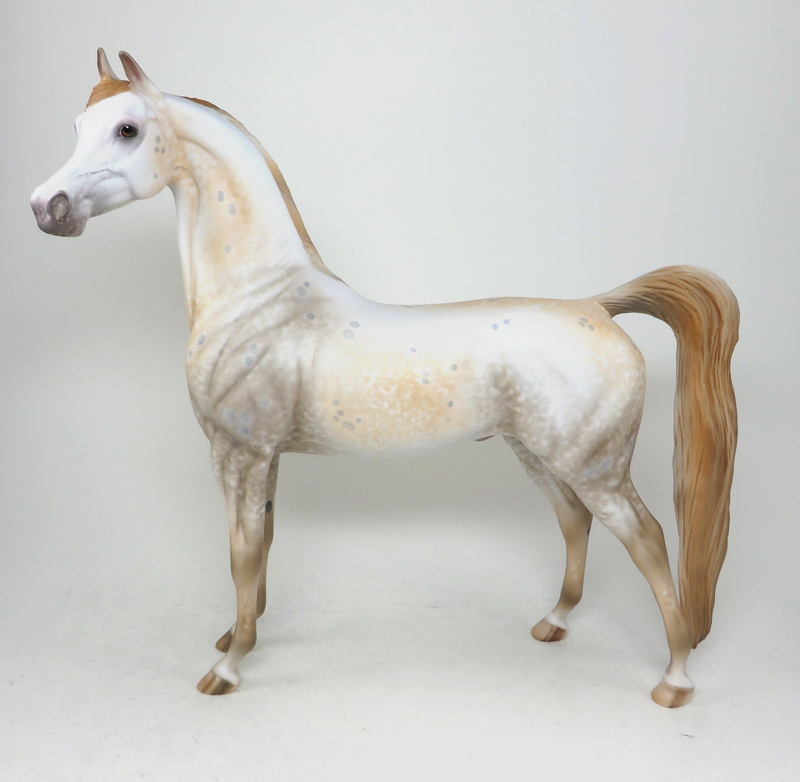 MANCHA SOLAR-OOAK APPALOOSA ARABIAN MODEL HORSE BY AL 5/13