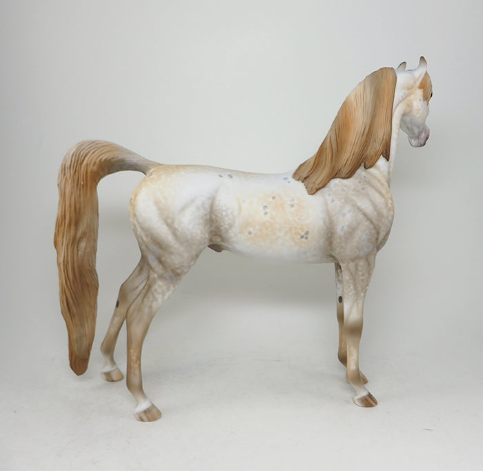 MANCHA SOLAR-OOAK APPALOOSA ARABIAN MODEL HORSE BY AL 5/13