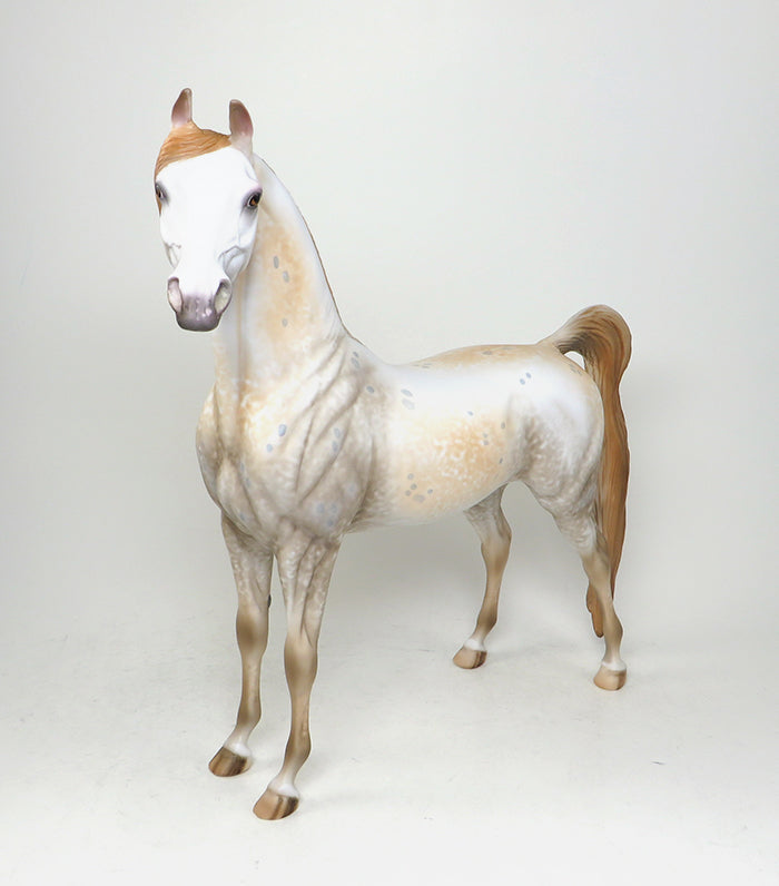 MANCHA SOLAR-OOAK APPALOOSA ARABIAN MODEL HORSE BY AL 5/13