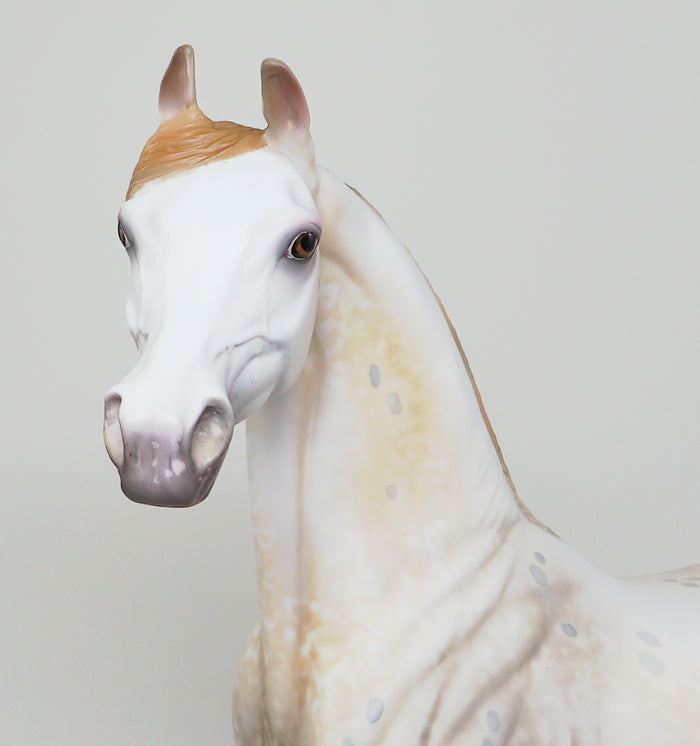 MANCHA SOLAR-OOAK APPALOOSA ARABIAN MODEL HORSE BY AL 5/13