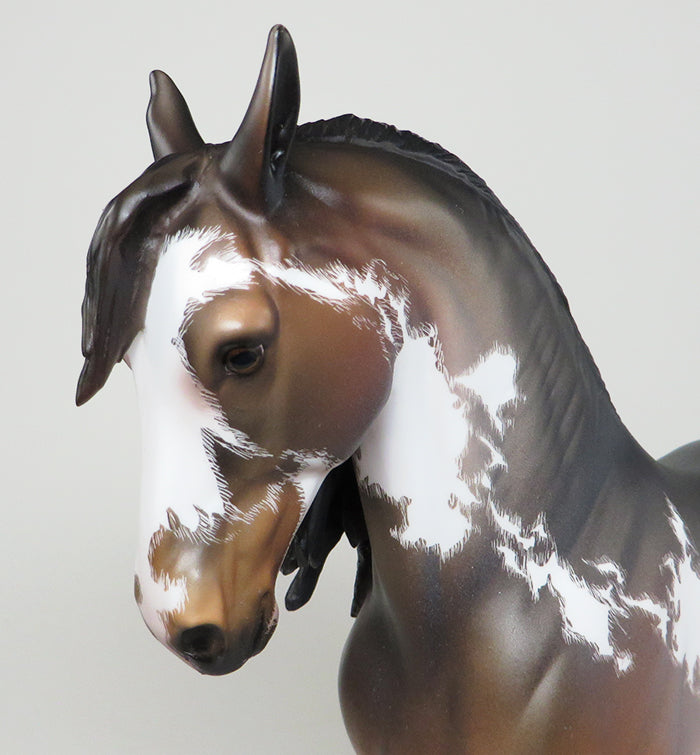 SUPERHERO-OOAK SEAL BAY PINTO ANDALUSIAN MODEL HORSE 5/13