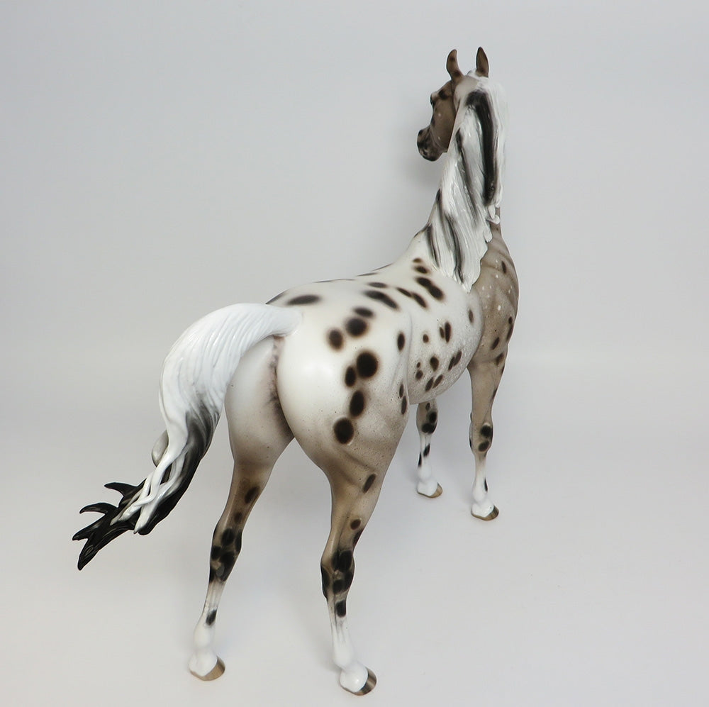 Appaloosa