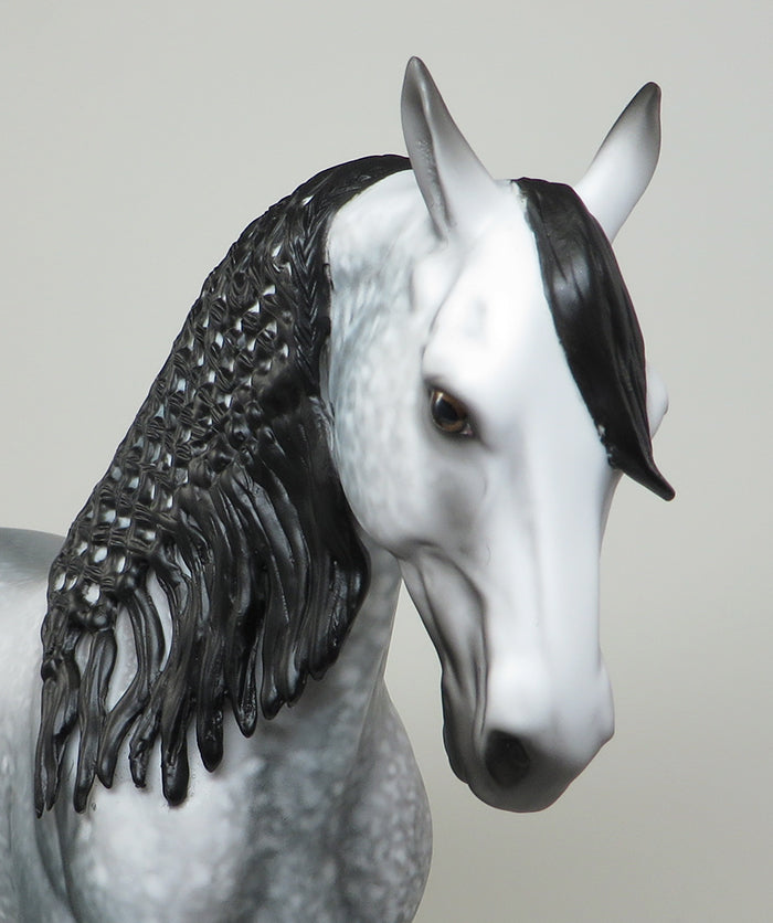 SACERDOTISA -OOAK DAPPLE GREY ANDALUSION BY AL 5/13