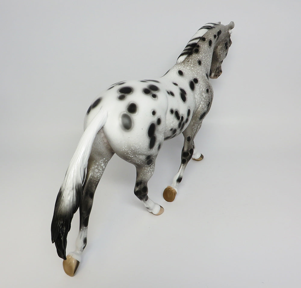 Appaloosa