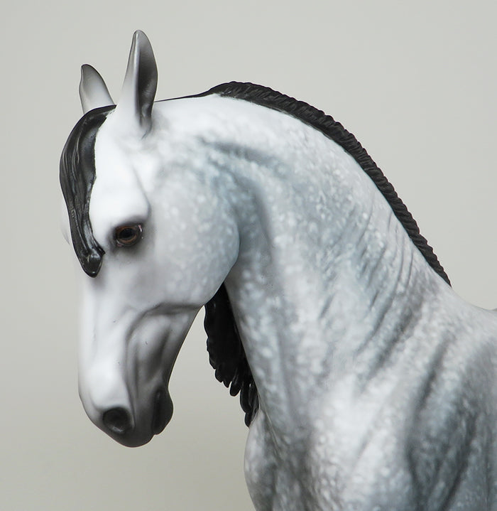 SACERDOTISA -OOAK DAPPLE GREY ANDALUSION BY AL 5/13