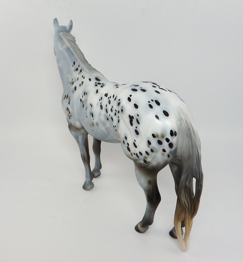 Appaloosa