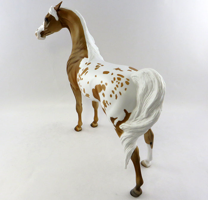 Appaloosa