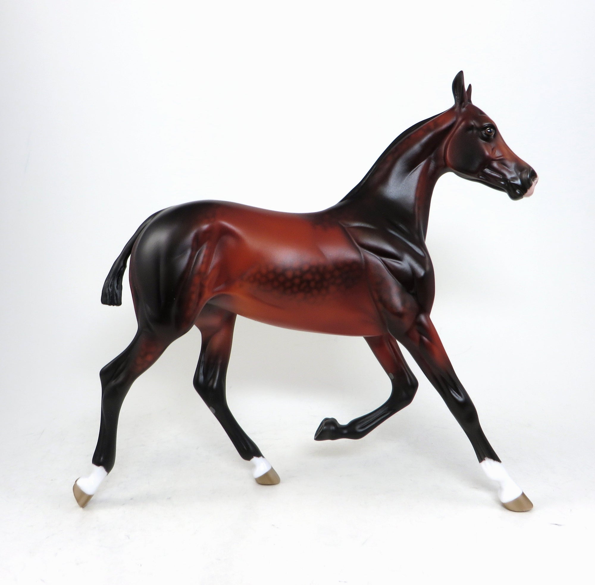 blood bay yearling 