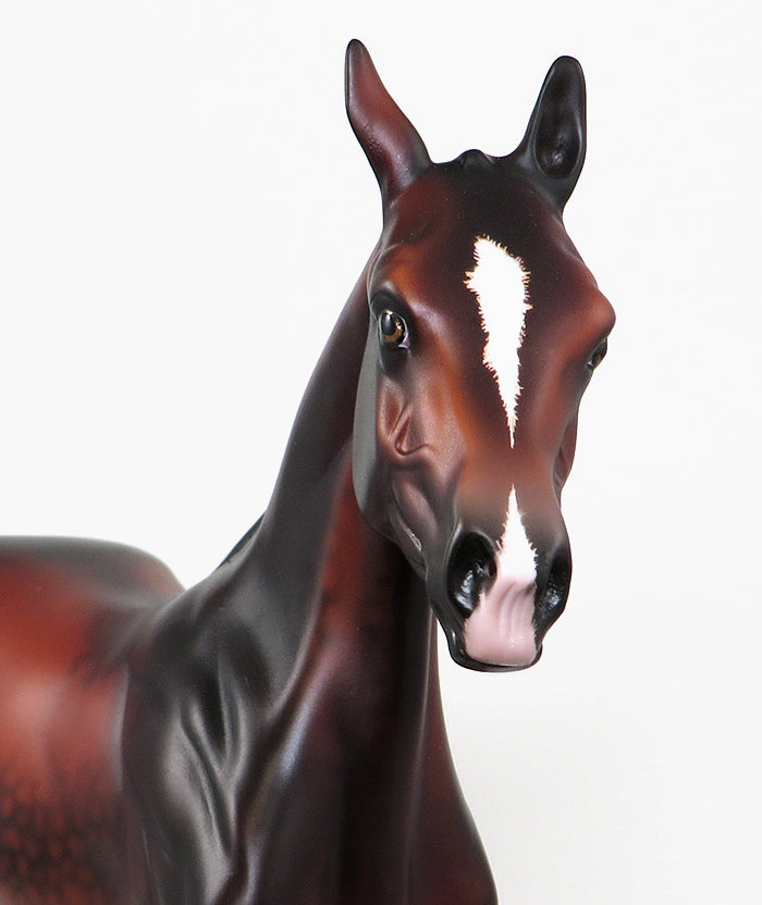 CORIZON DE LA LUNA-LE-4 BLOOD BAY ANDALUSIAN YEARLING MODEL HORSE BY SHERYL LEISURE 5/20