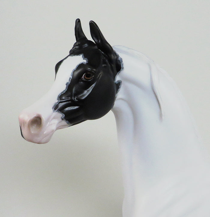 IMMORTAL STORY-OOAK MAPPED PINTO ARABIAN MODEL HORSE 5/18