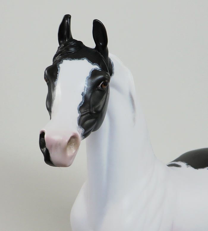 IMMORTAL STORY-OOAK MAPPED PINTO ARABIAN MODEL HORSE 5/18