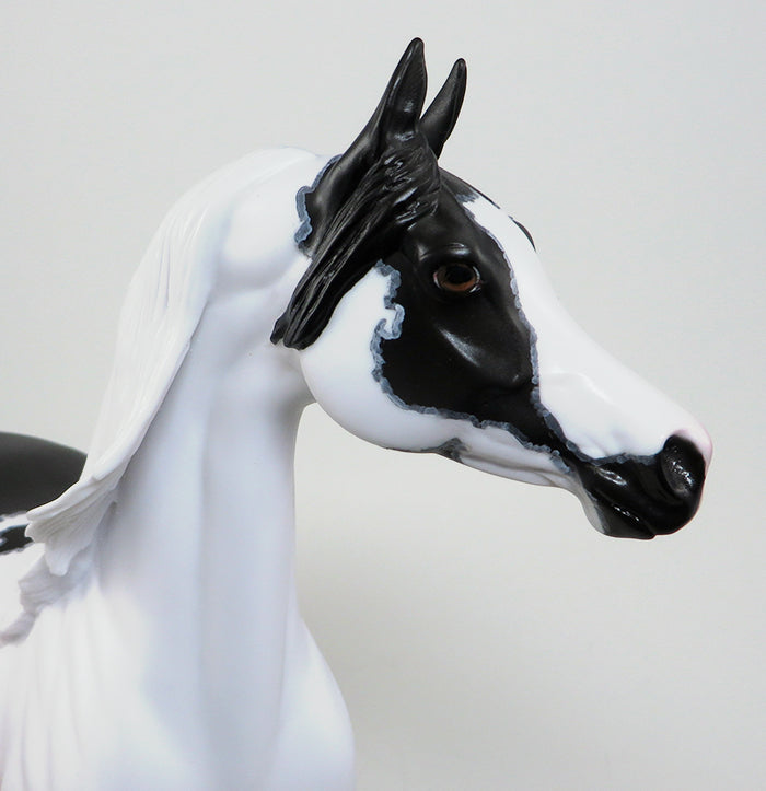 IMMORTAL STORY-OOAK MAPPED PINTO ARABIAN MODEL HORSE 5/18