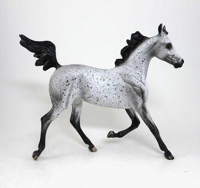 NO GOING BACK-OOAK APPALOOSA YEARLING MODEL HORSE BY AL 5/18