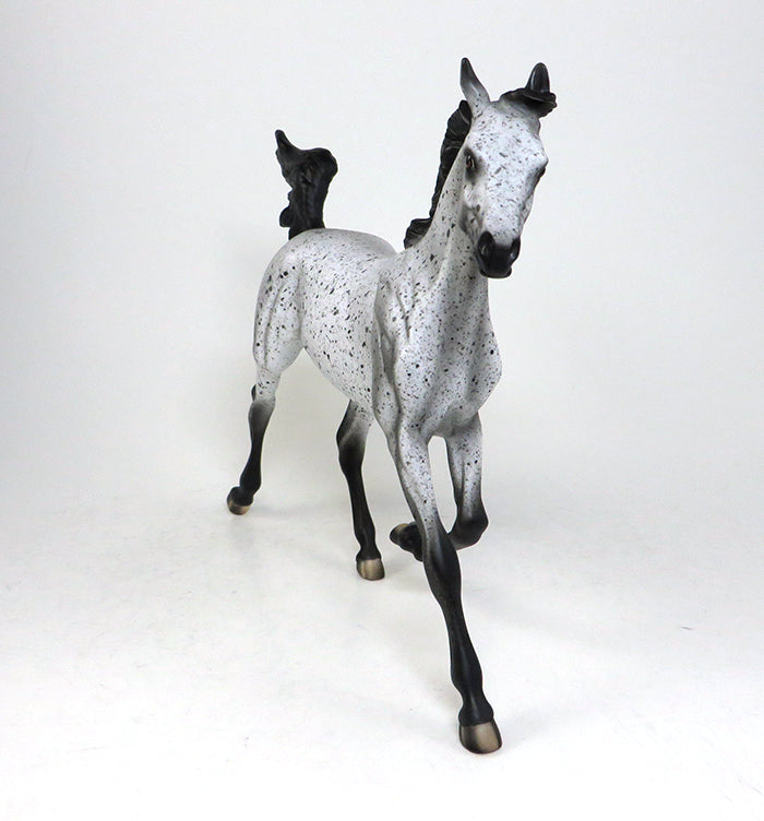 NO GOING BACK-OOAK APPALOOSA YEARLING MODEL HORSE BY AL 5/18