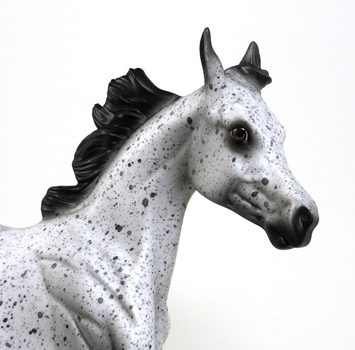 NO GOING BACK-OOAK APPALOOSA YEARLING MODEL HORSE BY AL 5/18