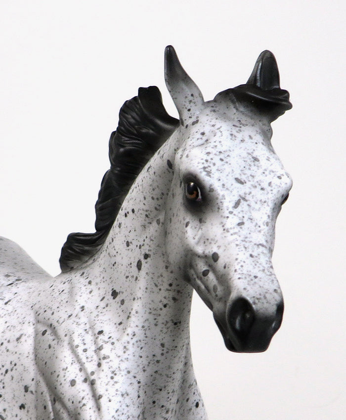 NO GOING BACK-OOAK APPALOOSA YEARLING MODEL HORSE BY AL 5/18